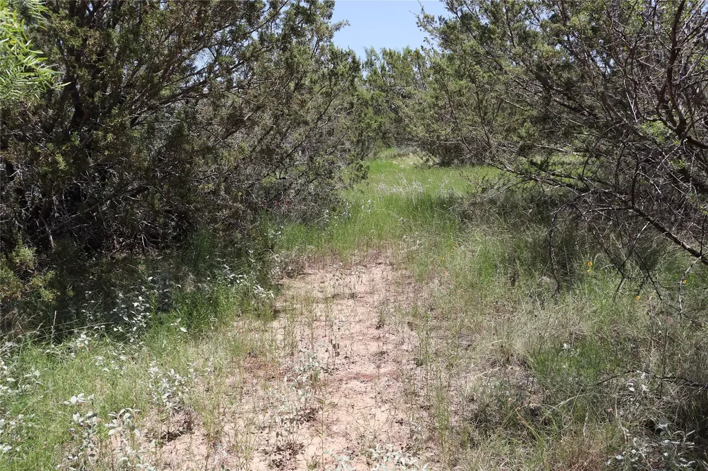 1234 Rr11 Recreational Road 11 Millersview TX 76862