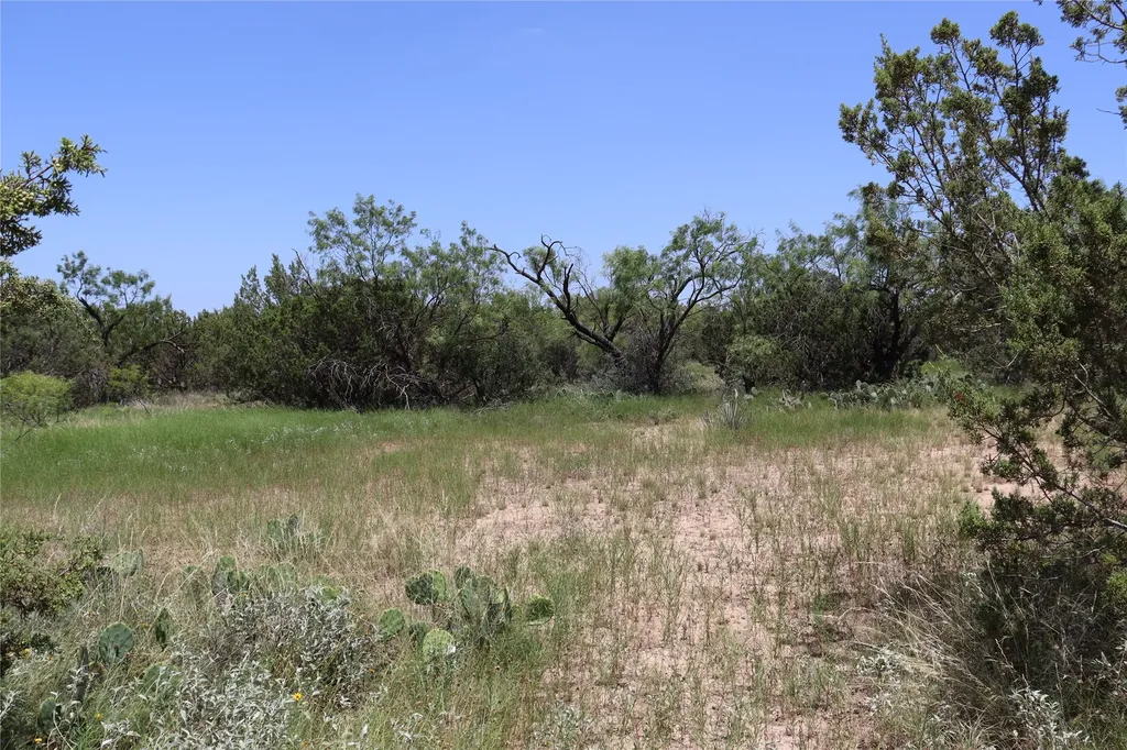 1234 Rr11 Recreational Road 11 Millersview TX 76862