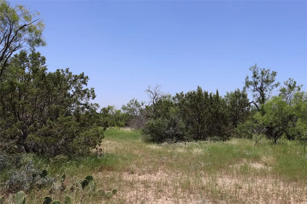 1234 Rr11 Recreational Road 11 Millersview TX 76862