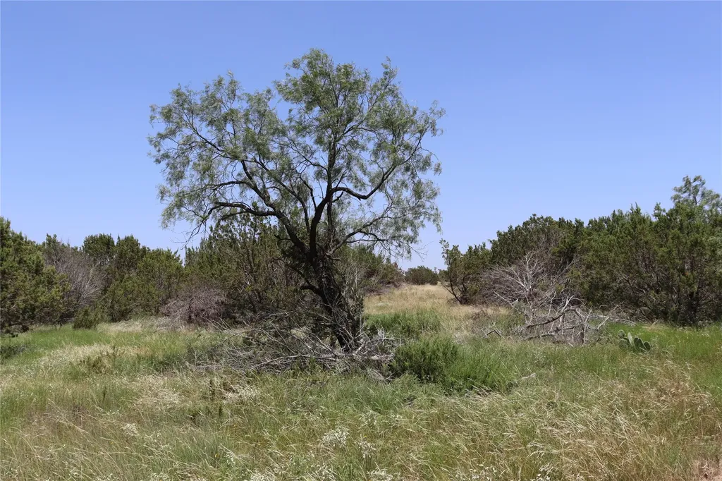 1234 Rr11 Recreational Road 11 Millersview TX 76862