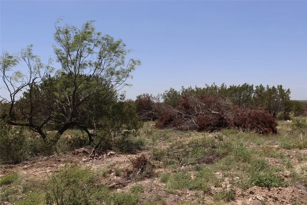 1234 Rr11 Recreational Road 11 Millersview TX 76862