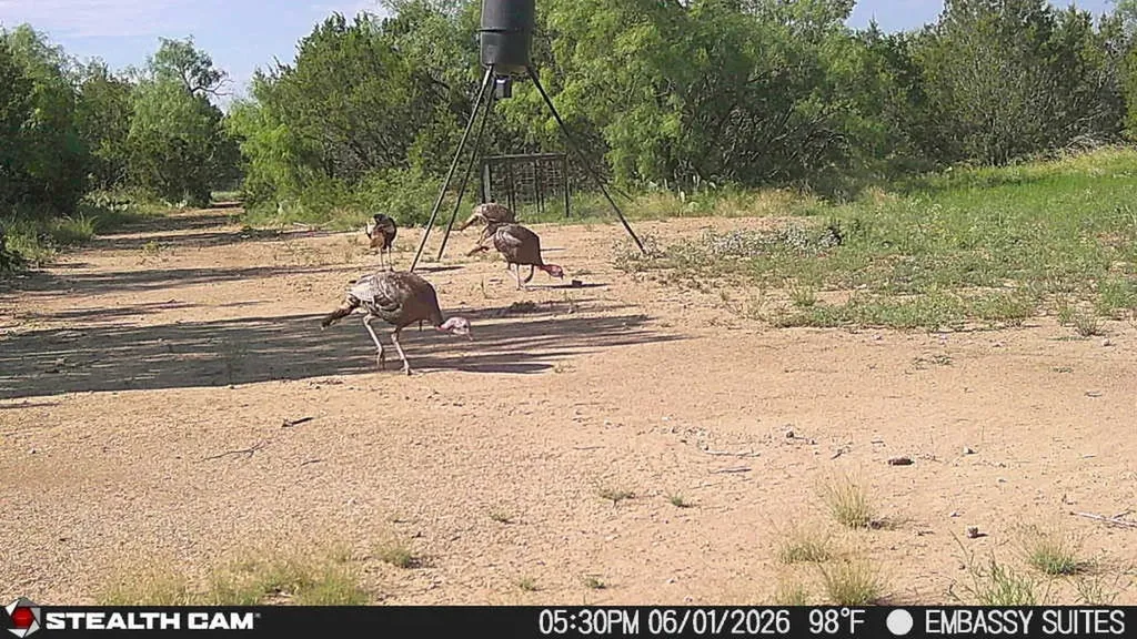 1234 Rr11 Recreational Road 11 Millersview TX 76862