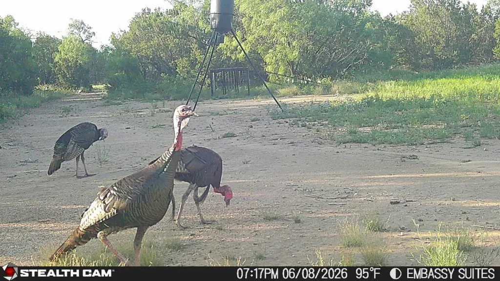 1234 Rr11 Recreational Road 11 Millersview TX 76862