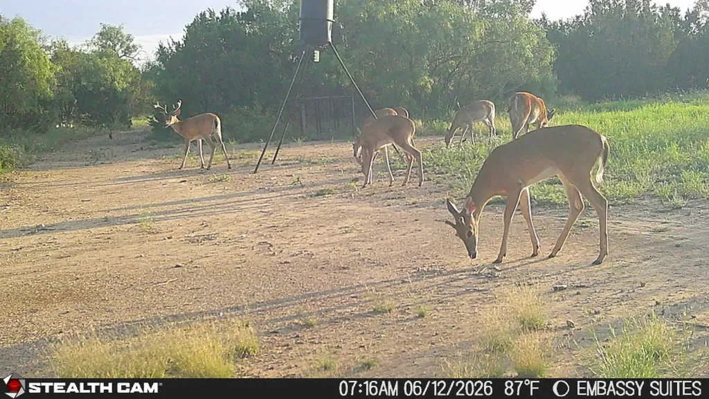 1234 Rr11 Recreational Road 11 Millersview TX 76862