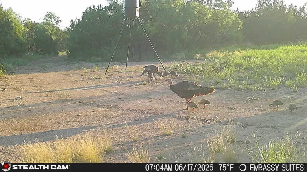 1234 Rr11 Recreational Road 11 Millersview TX 76862