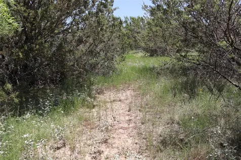 1234 Rr11 Recreational Road 11 Millersview TX 76862