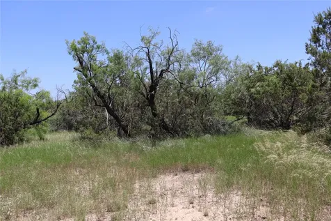 1234 Rr11 Recreational Road 11 Millersview TX 76862
