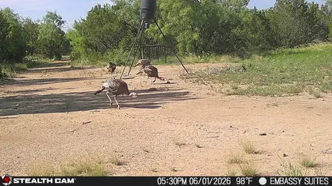 1234 Rr11 Recreational Road 11 Millersview TX 76862