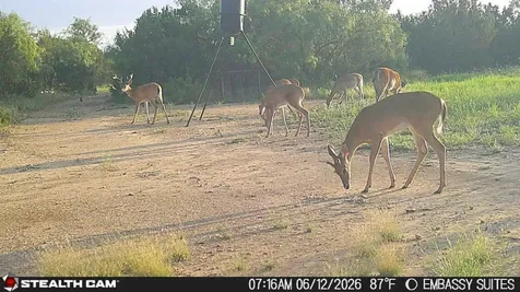 1234 Rr11 Recreational Road 11 Millersview TX 76862