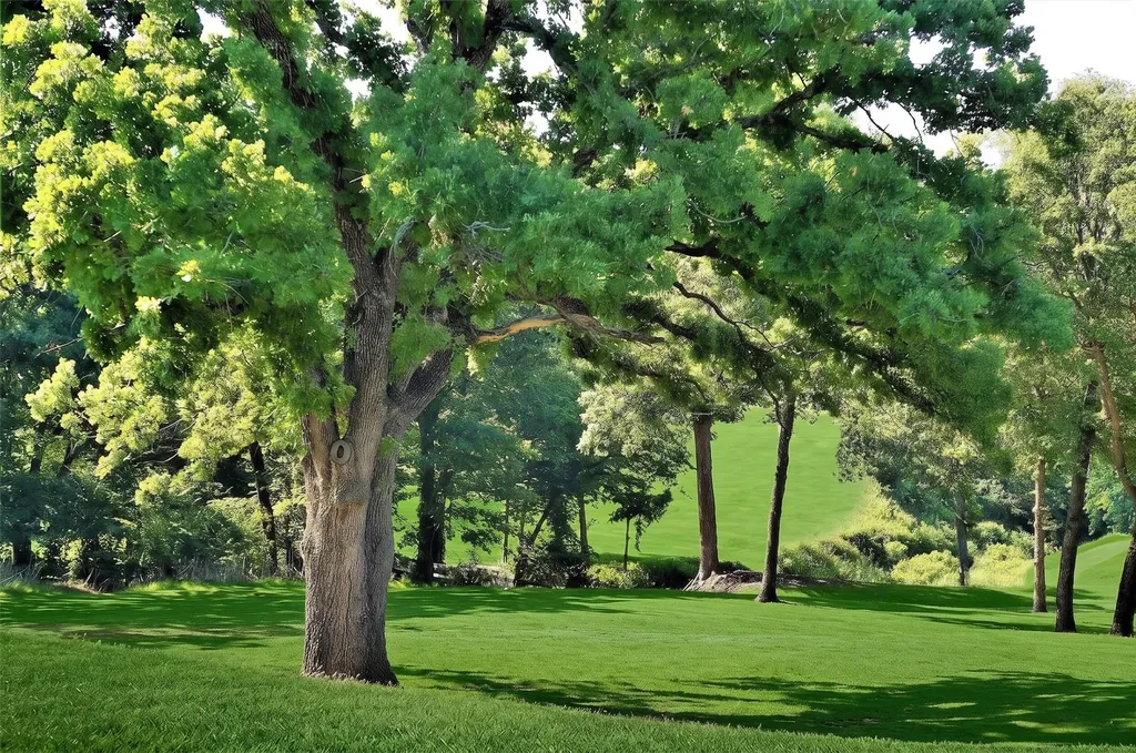 Lot 19a Valhalla Court Gordonville TX 76245