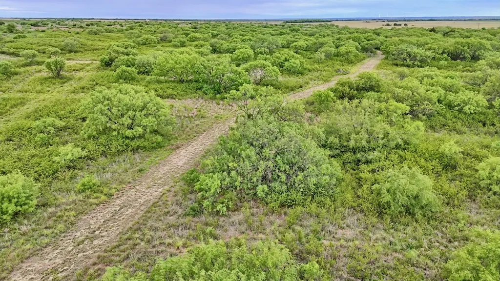 Tbd Cr 4371 Goree TX 76363