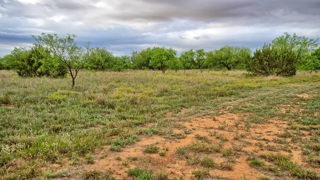 Tbd Cr 4371 Goree TX 76363