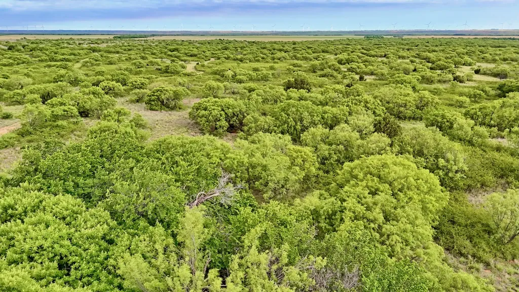 Tbd Cr 4371 Goree TX 76363