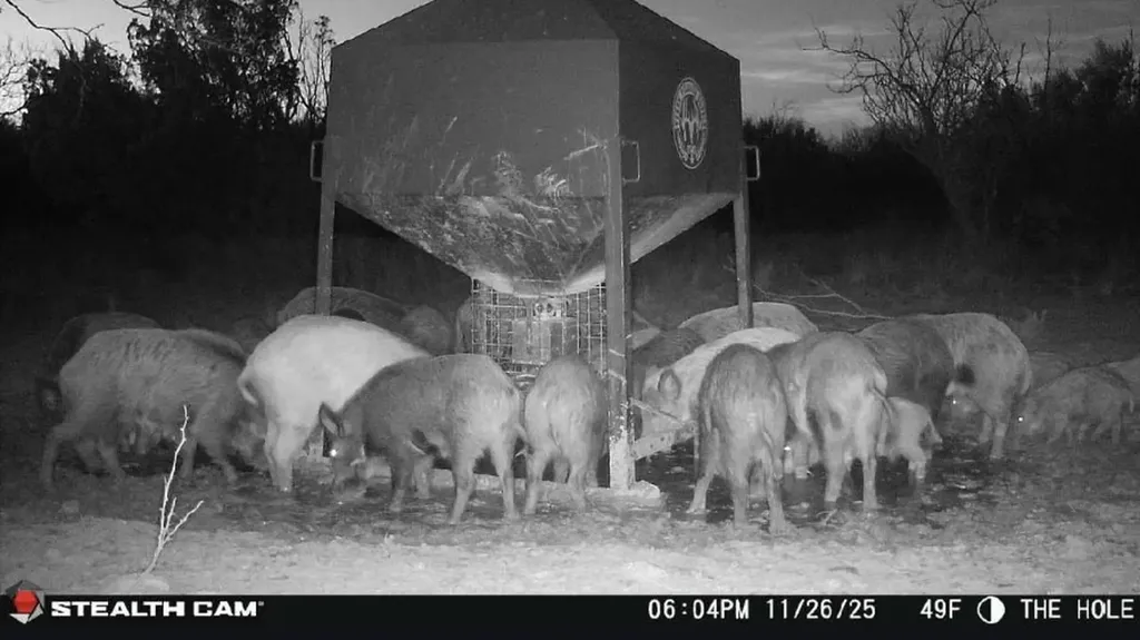 Tbd Cr 4371 Goree TX 76363