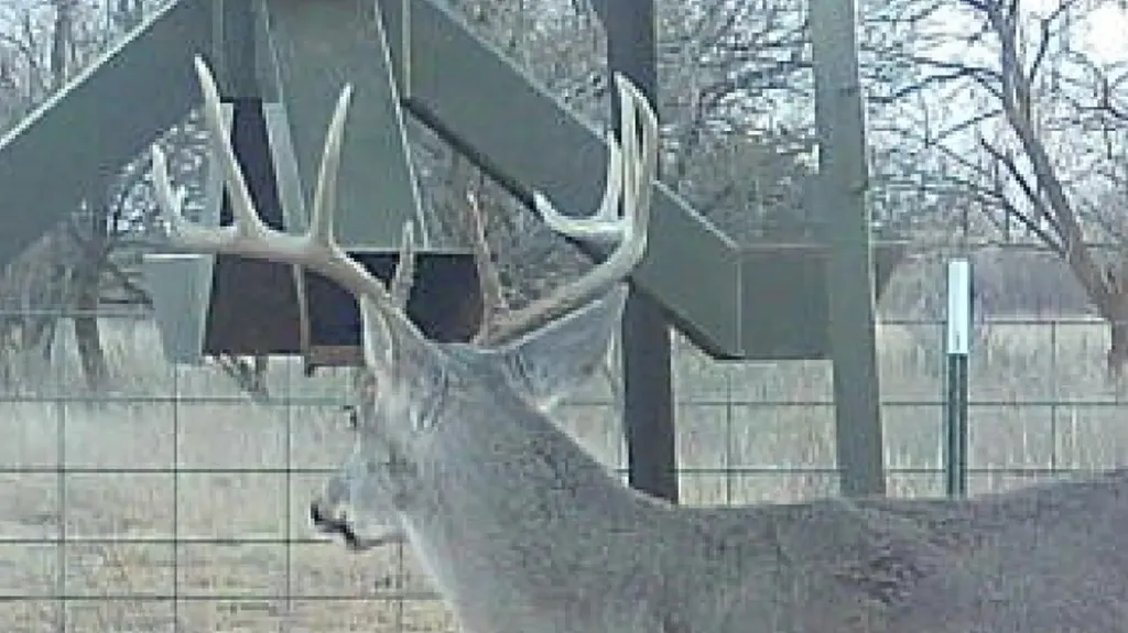 Tbd Cr 4371 Goree TX 76363