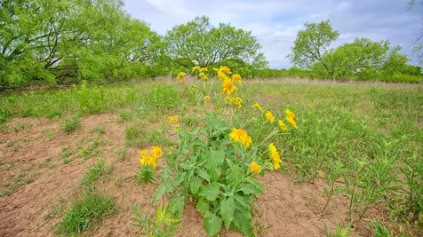 Tbd Cr 4371 Goree TX 76363
