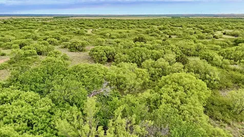Tbd Cr 4371 Goree TX 76363