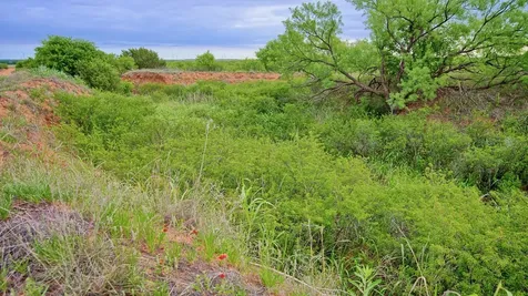 Tbd Cr 4371 Goree TX 76363