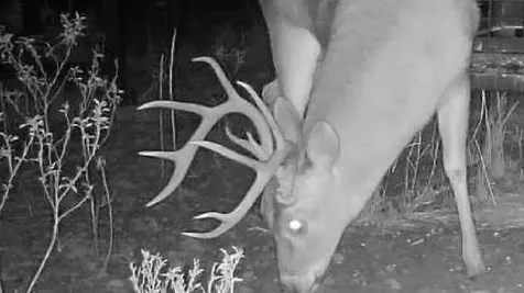Tbd Cr 4371 Goree TX 76363