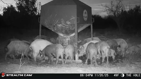 Tbd Cr 4371 Goree TX 76363