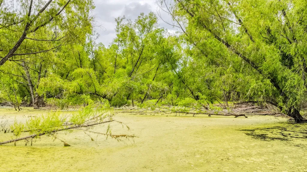 186 County Road 3650 Clifton TX 76634