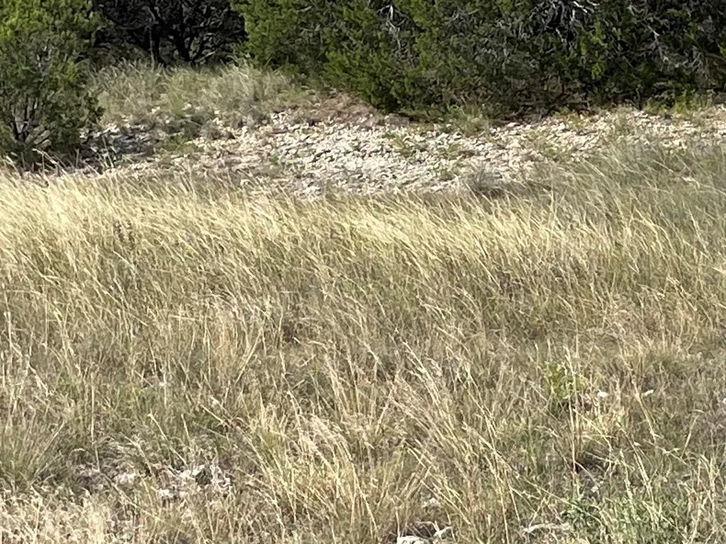 Tbd Penninsula Court Bluff Dale TX 76433