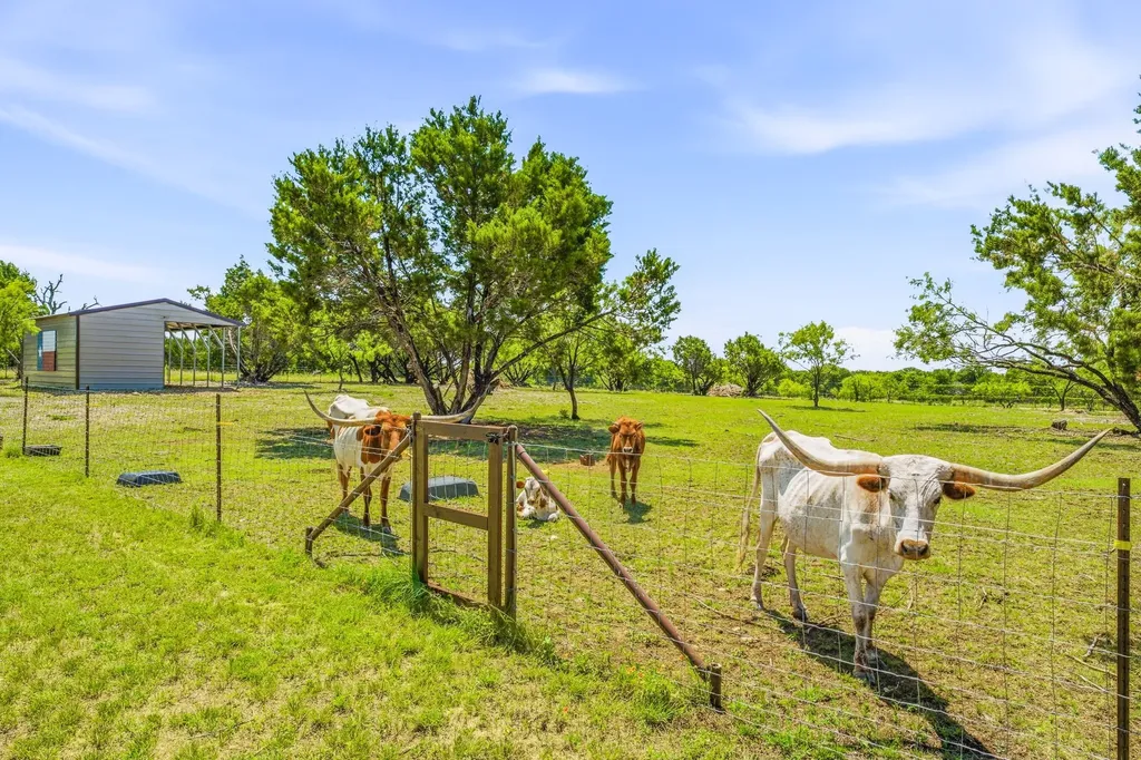 1271 Private 2120 Road Meridian TX 76665