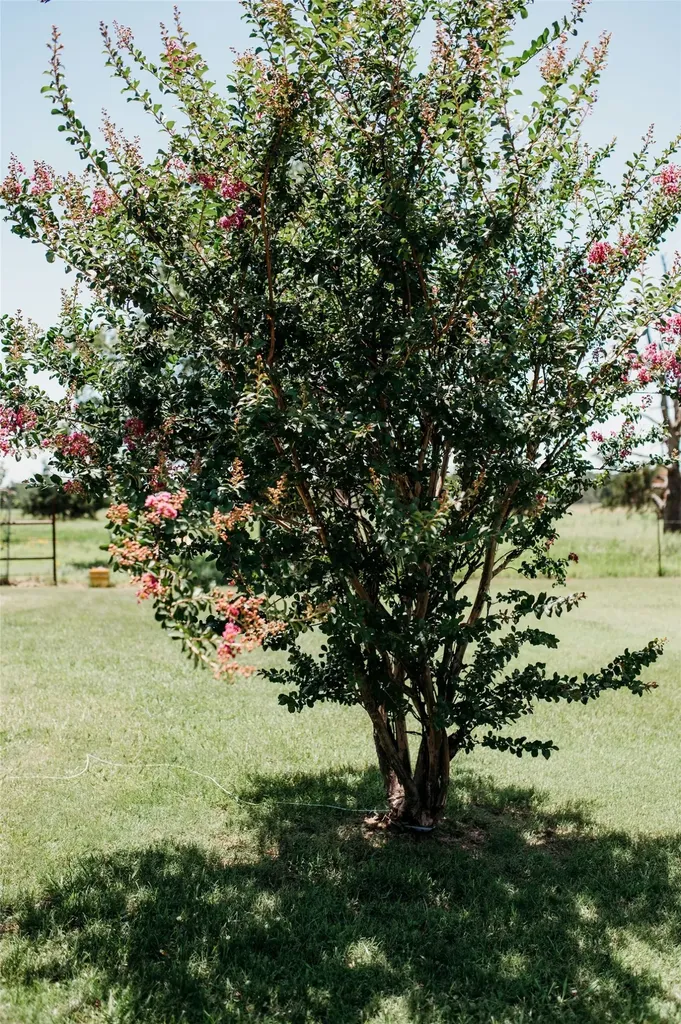 408 County Road 2200 Ivanhoe TX 75447