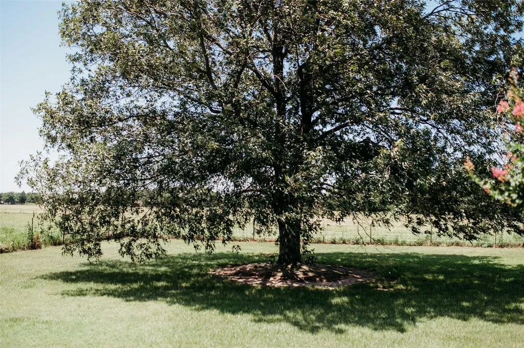 408 County Road 2200 Ivanhoe TX 75447