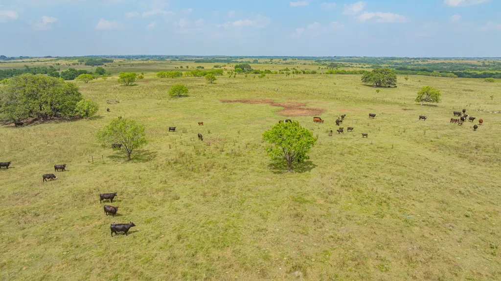 2901 Fm 1476 Dublin TX 76446