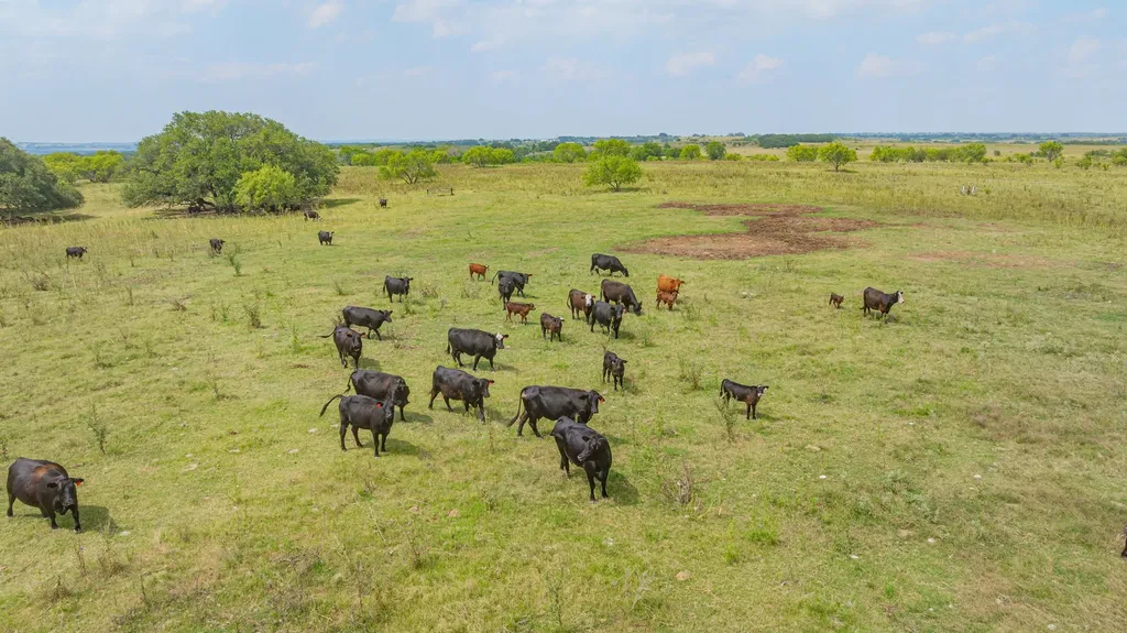 2901 Fm 1476 Dublin TX 76446