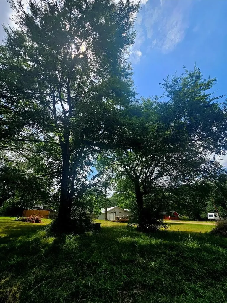 Tbd Tanglewood Drive Mabank TX 75156