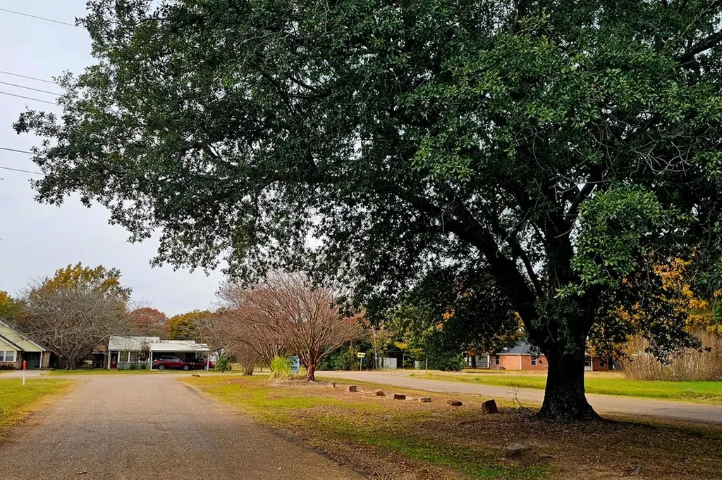 Tbd Tanglewood Drive Mabank TX 75156