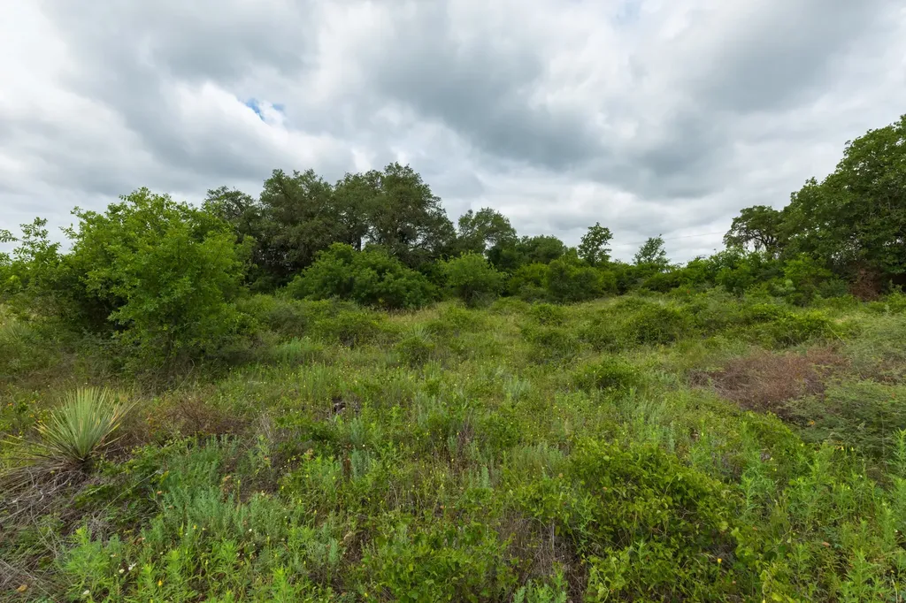 17156 County Road 225 Clyde TX 79510