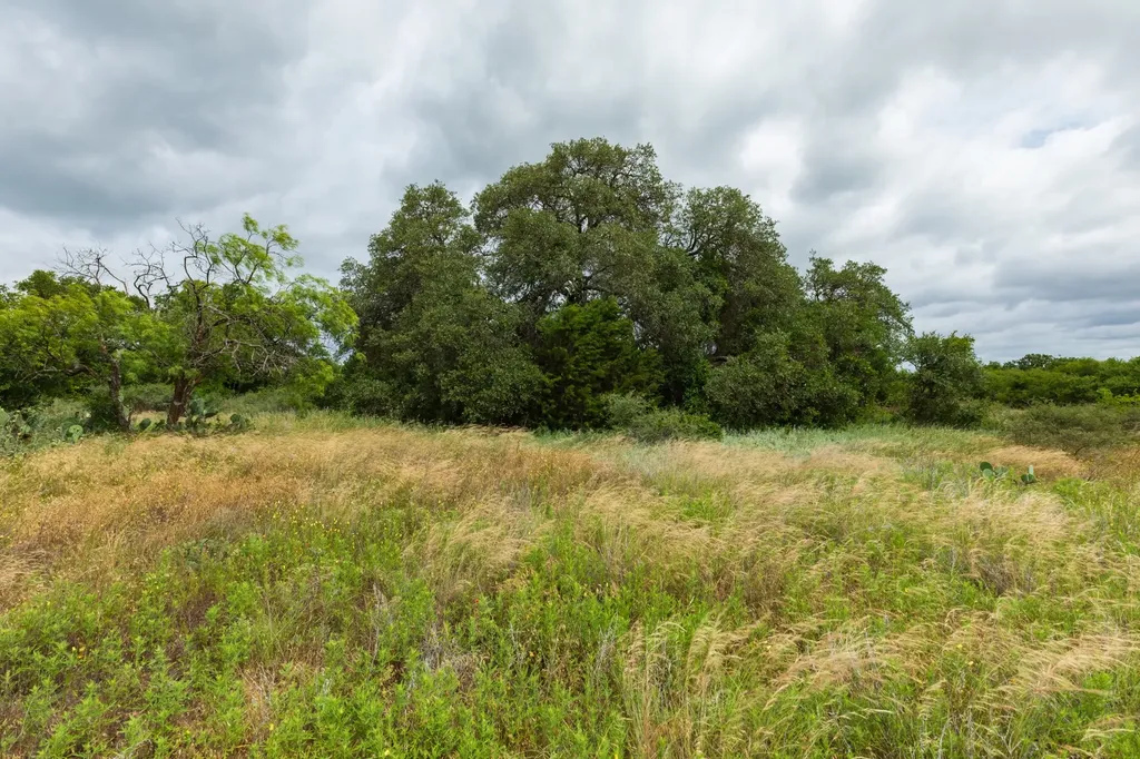 17156 County Road 225 Clyde TX 79510