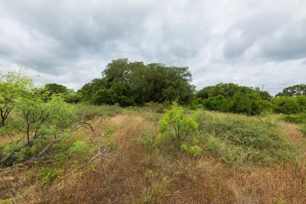 17156 County Road 225 Clyde TX 79510
