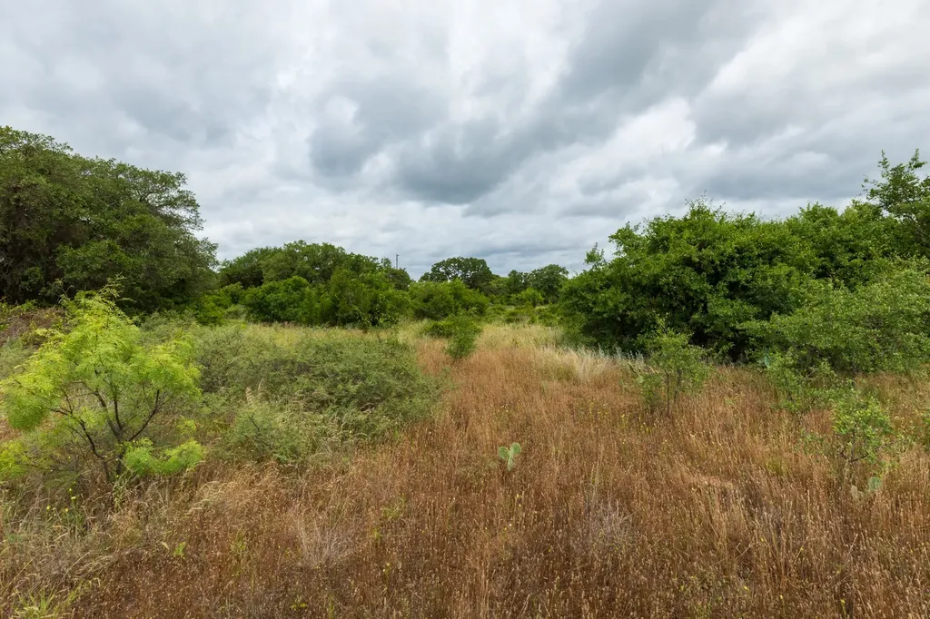 17156 County Road 225 Clyde TX 79510