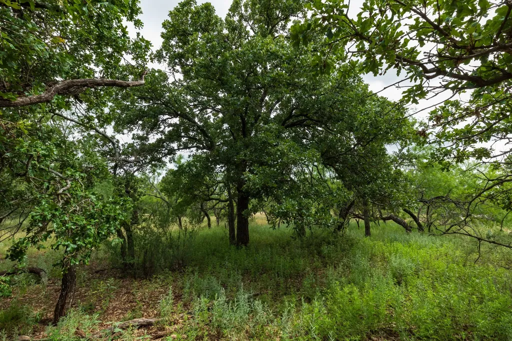 Tbd Fm 1178 Oplin TX 79510