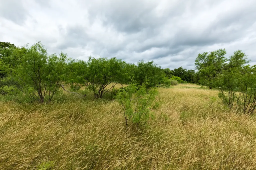 Tbd Fm 1178 Oplin TX 79510