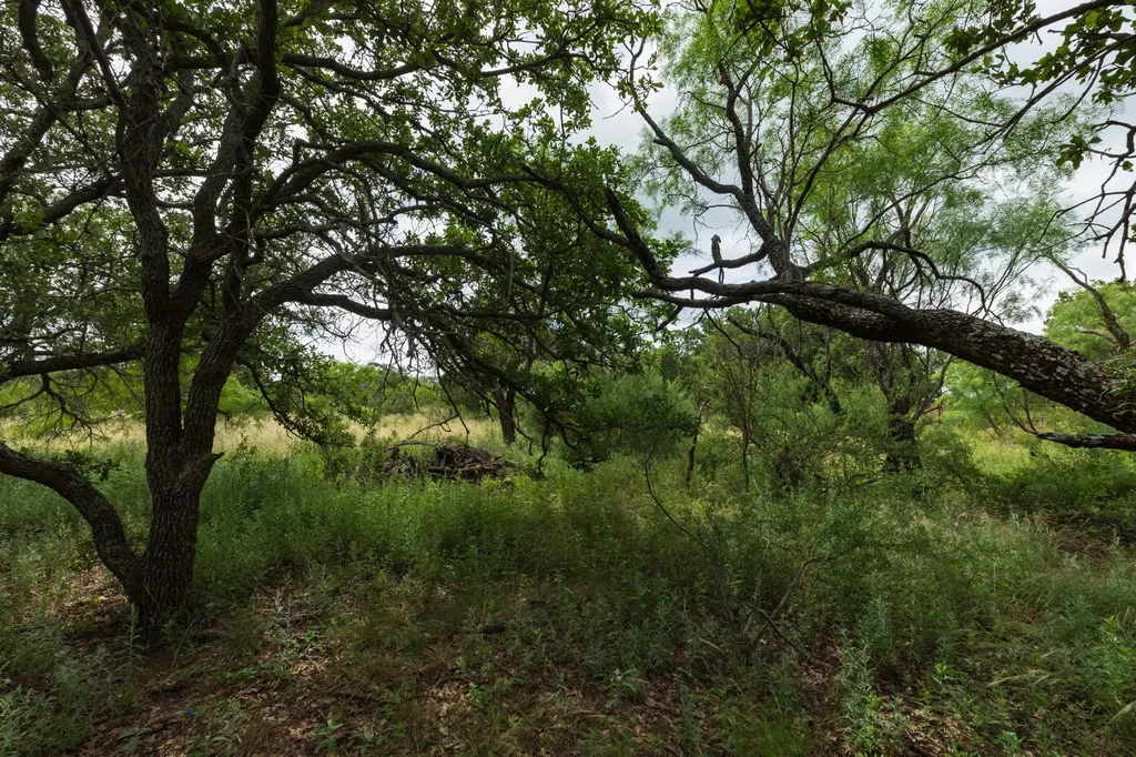 Tbd Fm 1178 Oplin TX 79510