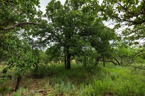 Tbd Fm 1178 Oplin TX 79510