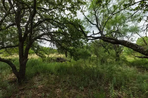 Tbd Fm 1178 Oplin TX 79510