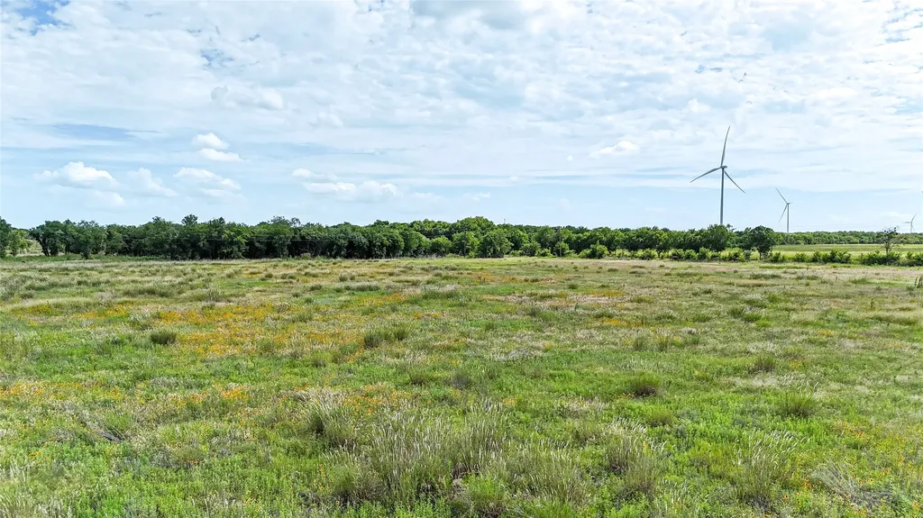 Lot 1 Fm 339 Mount Calm TX 76673