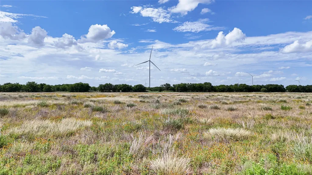 Lot 1 Fm 339 Mount Calm TX 76673