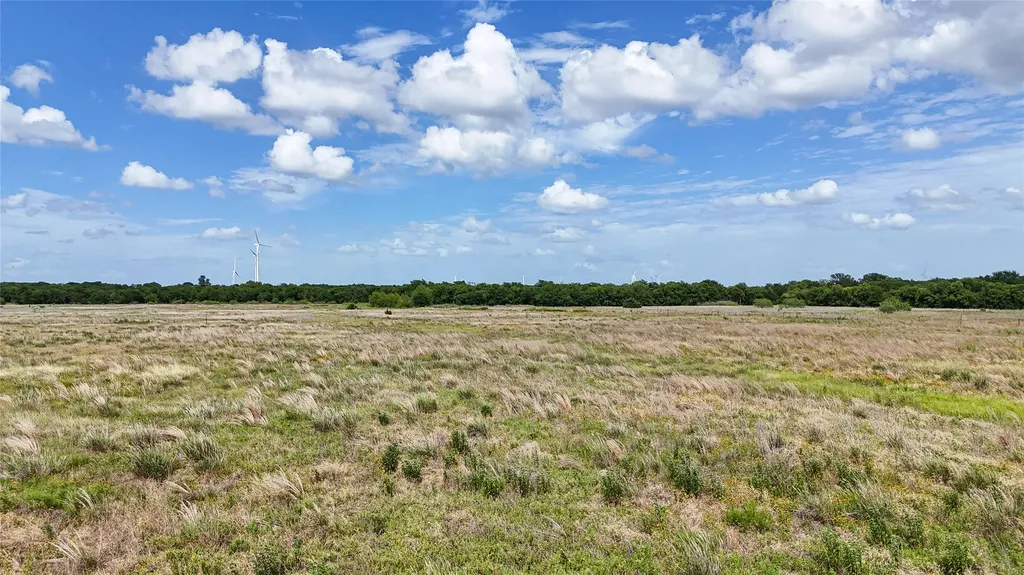 Lot 1 Fm 339 Mount Calm TX 76673