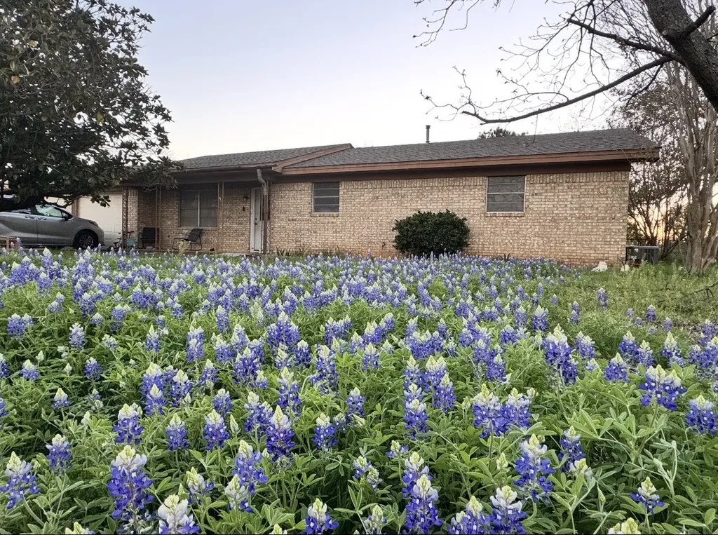 307 N Victor Street Comanche TX 76442