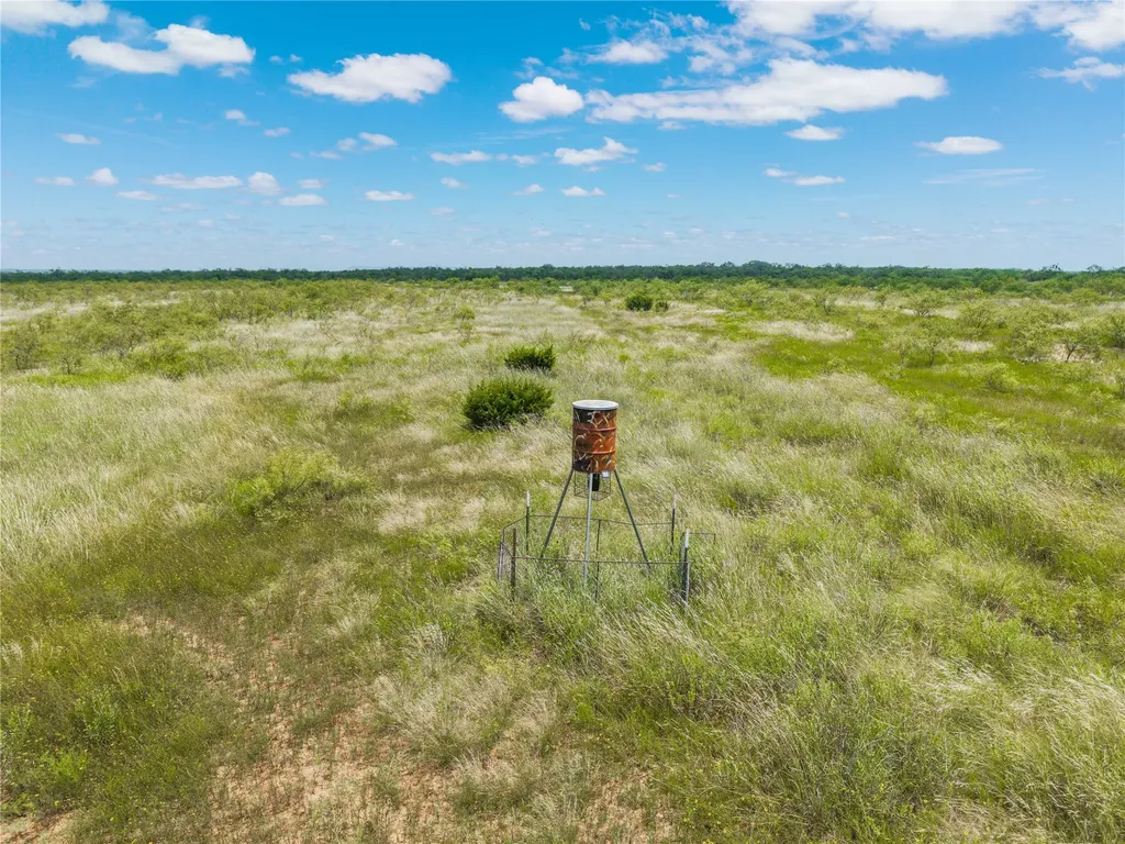 1050 County Road 258 Santa Anna TX 76878