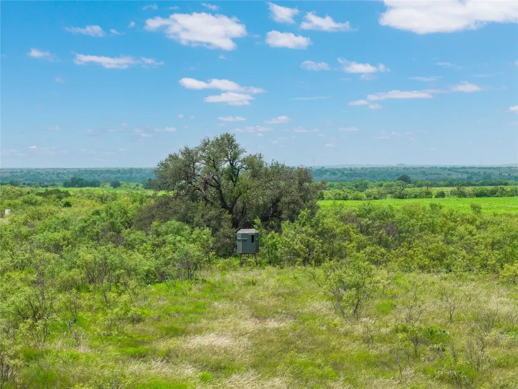 1050 County Road 258 Santa Anna TX 76878