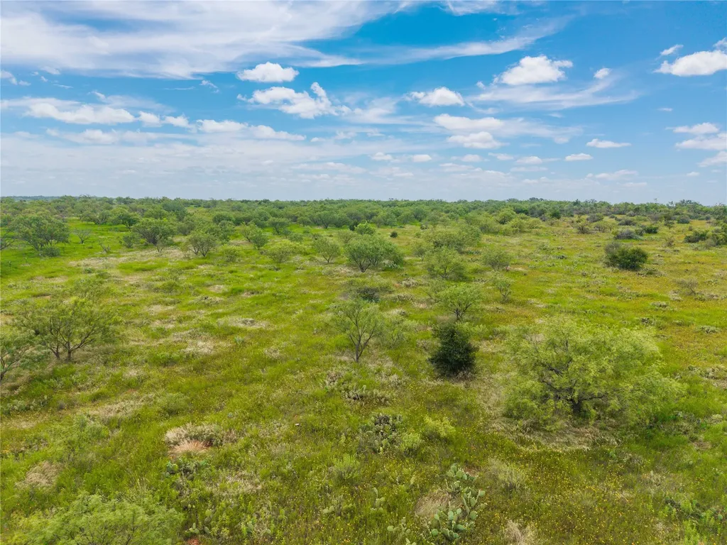 1050 County Road 258 Santa Anna TX 76878