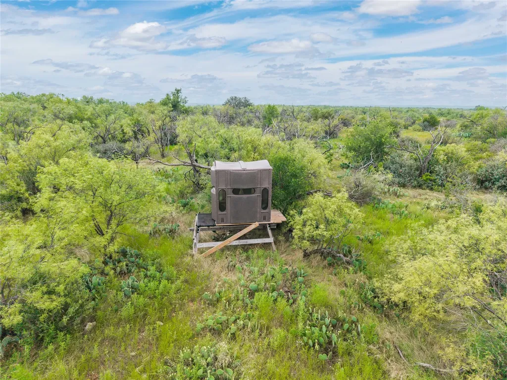 1050 County Road 258 Santa Anna TX 76878